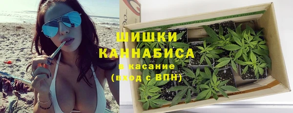 сатива Приозерск