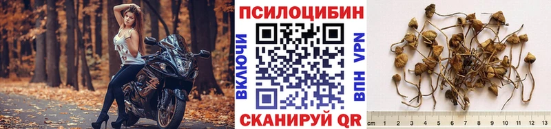 Галлюциногенные грибы Cubensis Курганинск